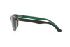 Солнцезащитные очки Ray-Ban RB 4181 (656811)