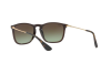 Occhiali da Sole Ray-Ban Chris RB 4187 (6315E8)