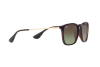 Occhiali da Sole Ray-Ban Chris RB 4187 (6315E8)