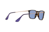 Sunglasses Ray-Ban Chris RB 4187 (639276)