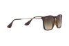 Occhiali da Sole Ray-Ban Chris RB 4187 (856/13)