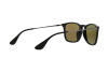 Солнцезащитные очки Ray-Ban Chris (f) RB 4187F (601/55)