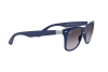 Occhiali da Sole Ray-Ban Wayfarer Liteforce RB 4195 (60158G)