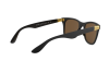 Sonnenbrille Ray-Ban Wayfarer liteforce RB 4195 (601S2Y)