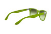 Солнцезащитные очки Ray-Ban Wayfarer Liteforce RB 4195 (60868E)