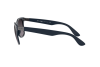 Sunglasses Ray-Ban Wayfarer liteforce RB 4195 (63318G)