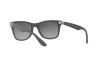 Lunettes de soleil Ray-Ban Wayfarer liteforce RB 4195 (633211)