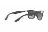 Occhiali da Sole Ray-Ban Wayfarer liteforce RB 4195 (633211)