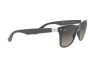 Occhiali da Sole Ray-Ban Wayfarer liteforce RB 4195 (633211)