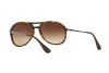 Occhiali da Sole Ray-Ban Alex RB 4201 (865/13)