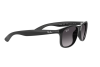 Sunglasses Ray-Ban Andy RB 4202 (601/8G)