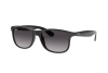 Sunglasses Ray-Ban Andy RB 4202 (601/8G)