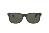 Sunglasses Ray-Ban Andy RB 4202 (606971)