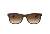 Lunettes de soleil Ray-Ban Andy RB 4202 (607313)