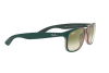Солнцезащитные очки Ray-Ban Andy RB 4202 (63688E)