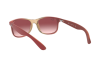 Sunglasses Ray-Ban Andy RB 4202 (63698H)