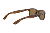 Sunglasses Ray-Ban Andy RB 4202 (710/9R)