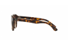 Lunettes de soleil Ray-Ban RB 4203 (710/13)