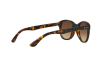 Occhiali da Sole Ray-Ban RB 4203 (710/13)