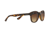 Lunettes de soleil Ray-Ban RB 4203 (710/13)