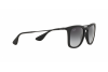 Sonnenbrille Ray-Ban RB 4221 (622/8G)