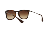 Sonnenbrille Ray-Ban RB 4221F (865/13)