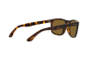 Солнцезащитные очки Ray-Ban RB 4226 (710/73)