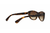 Sunglasses Ray-Ban RB 4227 (710/13)