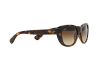 Sunglasses Ray-Ban RB 4227 (710/13)