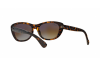 Солнцезащитные очки Ray-Ban RB 4227 (710/T5)