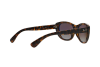 Sonnenbrille Ray-Ban RB 4227 (710/T5)