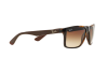 Sonnenbrille Ray-Ban RB 4234 (620513)