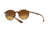 Lunettes de soleil Ray-Ban Round Liteforce RB 4237 (710/85)