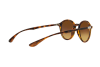 Lunettes de soleil Ray-Ban Round Liteforce RB 4237 (710/85)