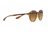 Lunettes de soleil Ray-Ban Round Liteforce RB 4237 (710/85)