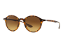 Lunettes de soleil Ray-Ban Round Liteforce RB 4237 (710/85)