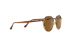 Sonnenbrille Ray-Ban RB 4242 (710/73)