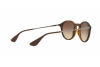 Sunglasses Ray-Ban RB 4243 (865/13)