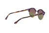 Sunglasses Ray-Ban Clubround Classic RB 4246 (1221C3)