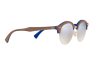 Sunglasses Ray-Ban Clubround Wood RB 4246M (12179U)