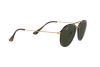 Sunglasses Ray-Ban RB 4253 (710)