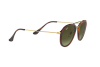 Occhiali da Sole Ray-Ban RB 4253 (820/A6)