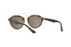 Sonnenbrille Ray-Ban Gatsby II RB 4257 (60925A)