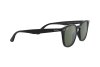 Sunglasses Ray-Ban RB 4258 (601/71)