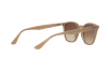 Occhiali da Sole Ray-Ban RB 4258 (616613)