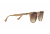 Sonnenbrille Ray-Ban RB 4258 (616613)