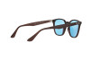 Солнцезащитные очки Ray-Ban RB 4258 (62311N)
