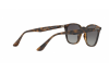 Sonnenbrille Ray-Ban RB 4258 (710/11)