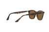 Sunglasses Ray-Ban RB 4258 (710/73)