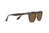 Солнцезащитные очки Ray-Ban RB 4258 (710/73)
